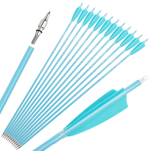 SHARROW Archery Carbon Arrows 30" SP500 SP600 Feathers Hunting Target(12 Pack)