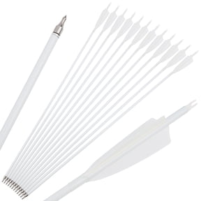 SHARROW Archery Carbon Arrows 30" SP500 SP600 Feathers Hunting Target(12 Pack)