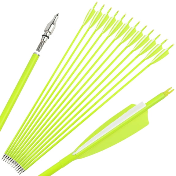 SHARROW Archery Carbon Arrows 30" SP500 SP600 Feathers Hunting Target(12 Pack)
