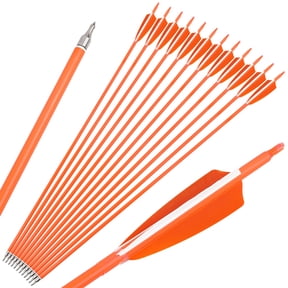 SHARROW Archery Carbon Arrows 30" SP500 SP600 Feathers Hunting Target(12 Pack)
