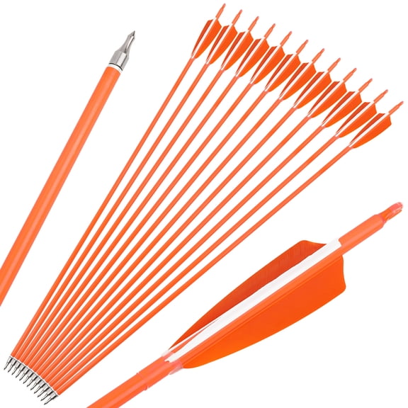 SHARROW Archery Carbon Arrows 30" SP500 SP600 Feathers Hunting Target(12 Pack)