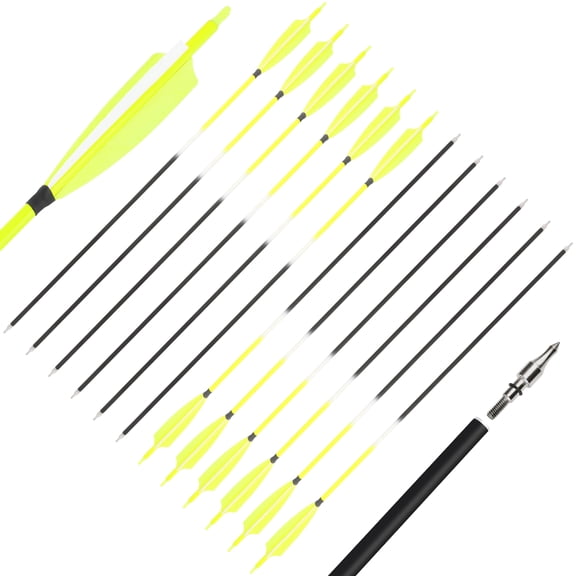 SHARROW Pack of 12 30" Archery Carbon Arrows with 5" Feathers Spine 500 Outdoor Practice Arrows