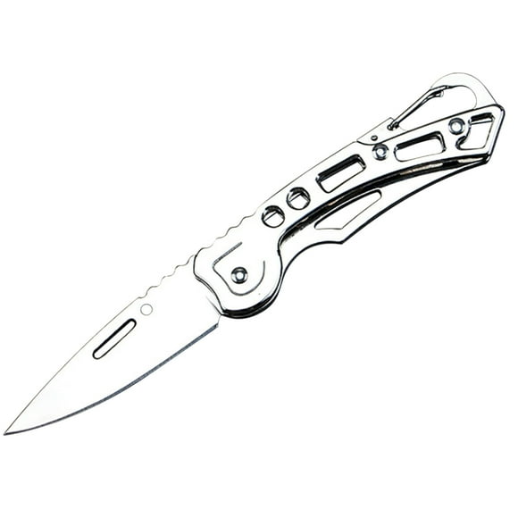 SHEIGUANNI Stainless Steel Mini Folding Pocket Knife - Compact Outdoor Camping Knife for Survival, Fishing, Hiking & Everyday Use, Durable Steel Blade, Rust-Resistant, Gift for Men & Women-Sliver