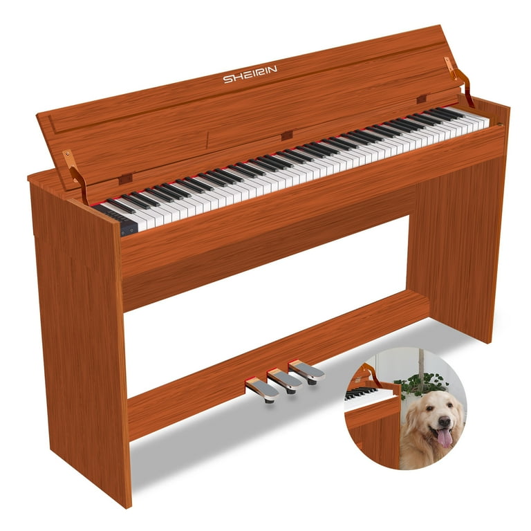 Free Shipping! SHEIRIN Digital Piano 88 Key Weighted Stand Free Shipping! SHEIRIN Digital Piano 88 Key Weighted Stand