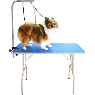 https://i5.walmartimages.com/seo/SHELANDY-Professional-Pet-Grooming-Table-with-Double-Leashes-and-Clamp-for-Large-and-Medium-Dogs-43-5-23-5-inch_e91ec203-50cc-4ab5-aebf-e4a9feaa07b4.6533ca29cb9371a00bcb496163b37cf5.jpeg?odnHeight=320&odnWidth=320&odnBg=FFFFFF