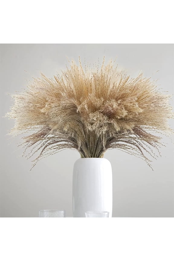 100PCS Dried Pampas Grass Plumes,Reed Flower Stems Bunch Brown