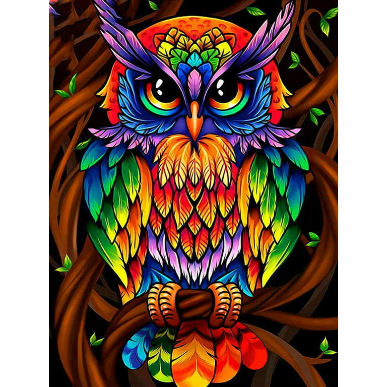 SHELLTON DIY Diamond Painting Kits for Adults and Kids Bird 5D Full Drill  Embroidery Paintings Rhinestone Pasted Painting Cross Stitch Arts Crafts  for Home Wall Decor (Owl 12x16 inch) 