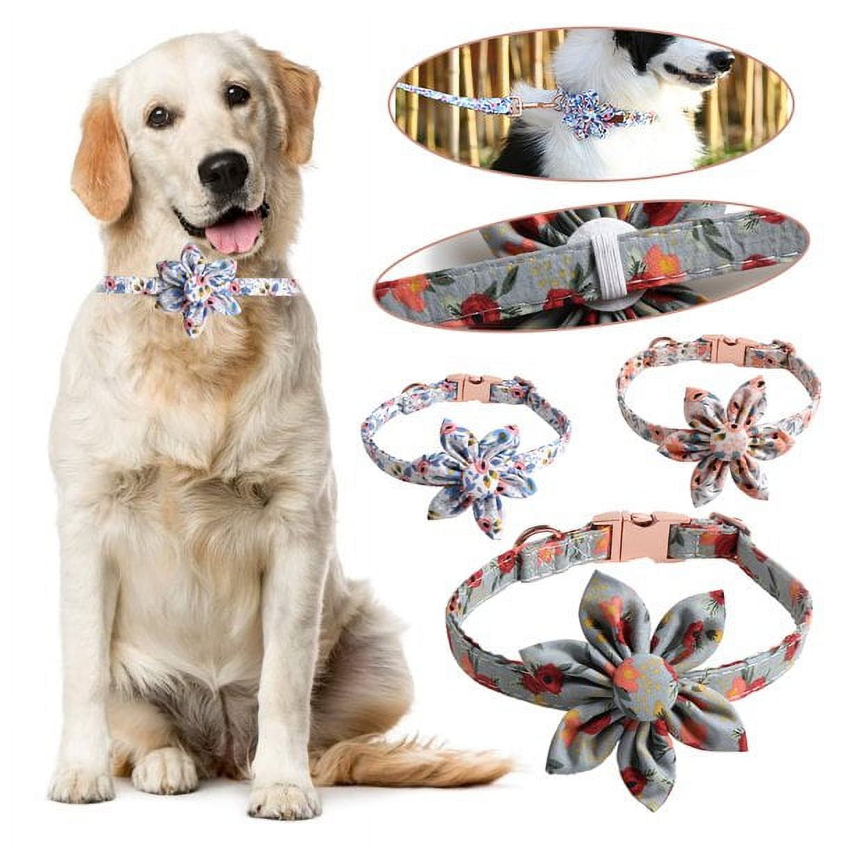 Collars Unique SHELLTON Unique Designer Dog Collar, Soft Padded Adjustable, For Small ...