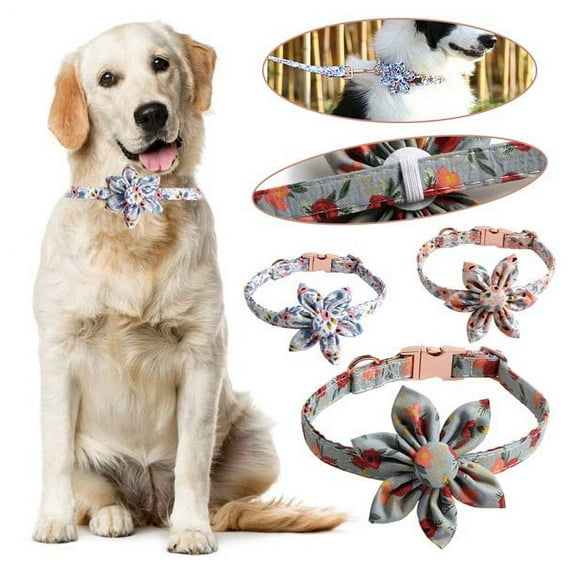 SHELLTON Unique Designer Dog Collar, Soft Padded Adjustable, For Small, Medium and Large Dogs Floral Pattern Engraved Pet Collars with Personalized Gold Buckle