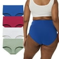 thumbnail image 1 of SHEMOR Women's Plus Size Underwear 3XL-6XL High Waist Briefs Cotton Soft Panties 4-Pack (5XL,Moonlight Ivy), 1 of 5