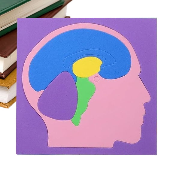 SHENERDA Human Anatomy Puzzle EVA Brain Science Experiment Supplies DIY Human Body Puzzle Model for Boys Girls Kids Home School Indoor Kindergarten Travel Playroom innate