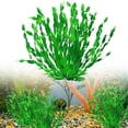 thumbnail image 1 of SHENGLUO Aquarium Artificial Plastic Plants Decorations and Rock Cave Decor Set Goldfish Betta Fish Tank Accessories Small Large Fish Bowl Ornaments,Fish Tank Artificial Plants, (5-12 Inches, Green), 1 of 7