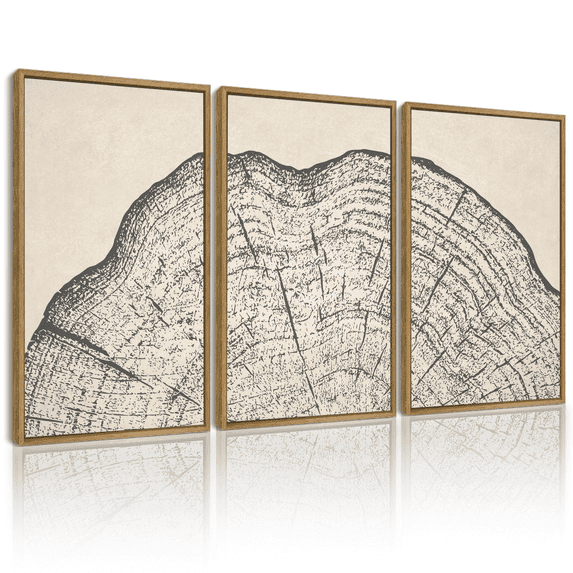 SHENIFY Farmhouse Set Gray Wood Tree Ring Nature Wall Art 16x24in3pcs Natural Framed Vintage Rustic Modern Art Decor for Living Room Bedroom
