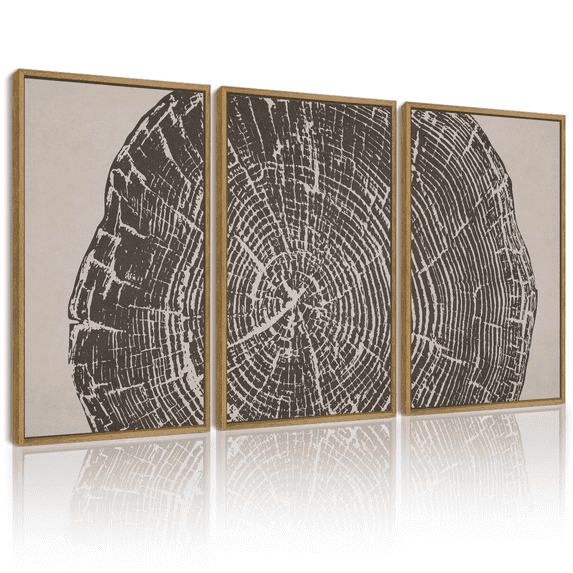 SHENIFY Farmhouse Vintage Wall Art 16x24in3pcs Natural Framed Set Gray Wood Tree Ring Spirals Nature Abstract Drawings Rustic Modern Art Decor for Living Room Bedroom