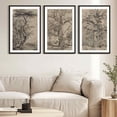 thumbnail image 1 of SHENIFY Large 24x36in3pcs Black Framed Vintage Tree Wall Art Retro Forest Paintings Antique Nature Wilderness Sketch Modern Living Room Bedroom Decor, 1 of 8