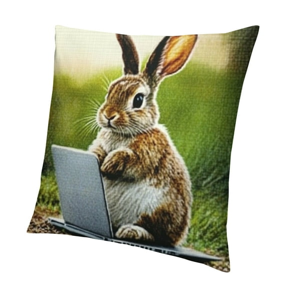 SHERONV Rabbit Beatrix Potter Laptop Pillow Cover Home Decor 22x22in