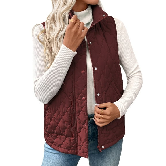 SHEWIN Womens Vest Sleeveless Puffer Jackets Lightweight Stand Collar Button Fall Spring Zip Up Quilted Coat Outerwear