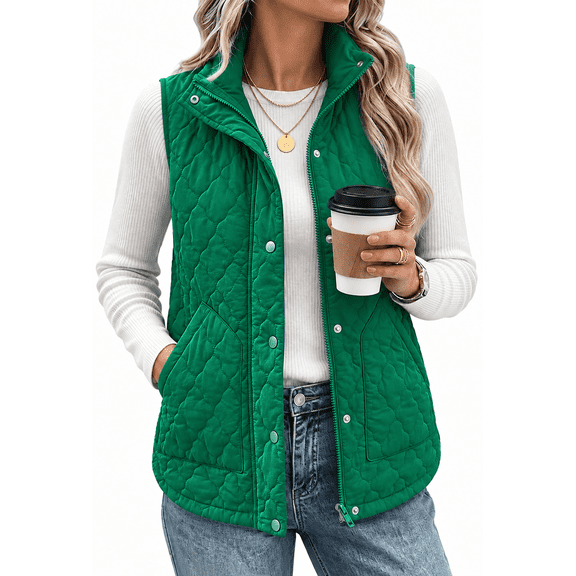 Fall Out Spring Bxsruta Women's Puffer Vest Sleeveless Full Zip Quilted Stand Collar ...