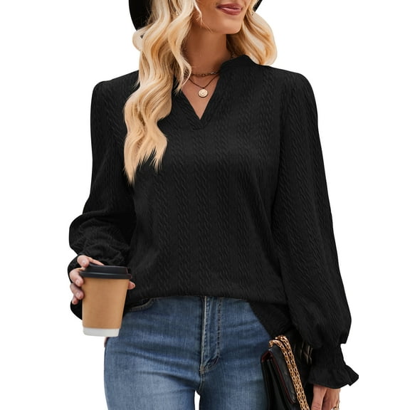 SHIBEVER Tops for Women Fall Casual Long Sleeves Blouses Loose Fit Knit Tunic Tops Trendy V Neck Soild Black T Shirt for Women Size S