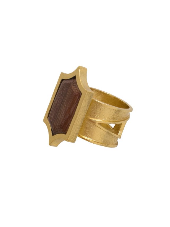 SHIELD RING