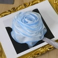 thumbnail image 1 of SHIMELE Loofah Bath Sponge Scrubber, Mesh Shower Loofah Sponge, with Lanyard, Blue, 1 of 7
