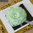 thumbnail image 1 of SHIMELE Loofah Bath Sponge Scrubber, Mesh Shower Loofah Sponge, with Lanyard, Green, 1 of 7