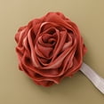 thumbnail image 1 of SHIMELE Loofah Bath Sponge Scrubber, Mesh Shower Loofah Sponge, with Lanyard, Red, 1 of 7