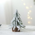 thumbnail image 1 of SHIMELE Mini Christmas Tree Decorations Small Snow-Falling Potted Tree Multicolor Plastic Wood for Home Tabletop Holiday Decor, 1 of 6