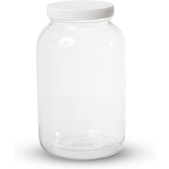 SHISUYAN Wide Mouth Airtight Storage Container 1 Gallon Large Glass Jar with Plastic Lid Kitchen Canisters for Brewing Fermenting Pickling Canning