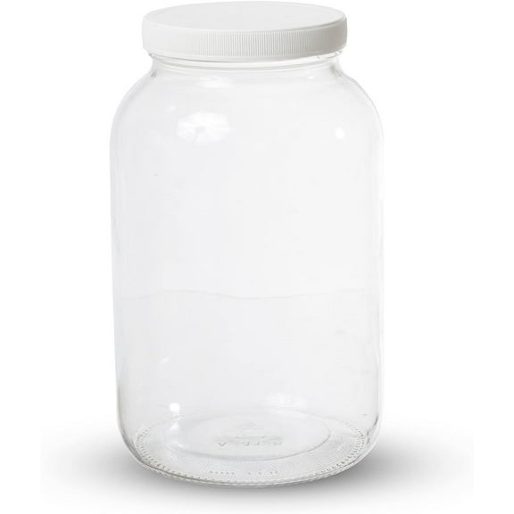 SHISUYAN Wide Mouth Airtight Storage Container 1 Gallon Large Glass Jar with Plastic Lid Kitchen Canisters for Brewing Fermenting Pickling Canning