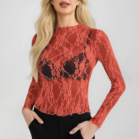 SHITINN Women's Mesh Top Long Sleeve Neck Sheer Blouse See Through Floral Lace Tops Short Sleeve Tops for Women Summer Fashion Women Womens Tshirt