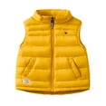 thumbnail image 1 of SHIWEN 3-12Y Girls Boys Puffer Vests for Toddler Kids Warm Quilted Sleeveless Jacket Lightweight Full-Zip Waistcoat Fall Winter Coats, 1 of 6