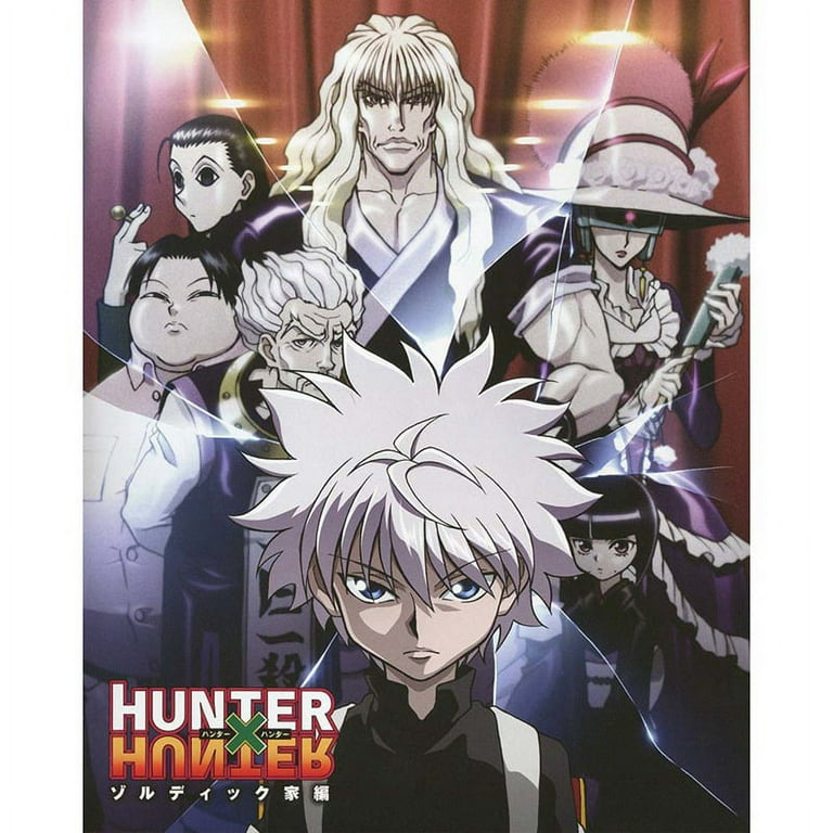 SHIYAO Hunter X Hunter Poster Popular Classic Japanese Anime Home Decor  Retro Poster Prints Silk Wall Art Home Room Decor(S) 