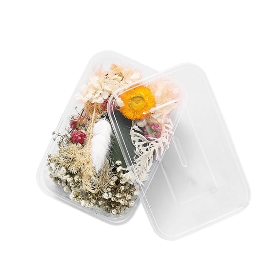 SHOPPLAND 1 Box Real Dried Flower Resin Fillings Expoxy Flower for Epoxy Resin Jewelry Making Craft DIY Supplies Accessories (Forget Me Not)