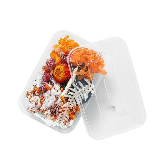 SHOPPLAND 1 Box Real Dried Flower Resin Fillings Expoxy Flower for Epoxy Resin Jewelry Making Craft DIY Supplies Accessories (Forget Me Not)