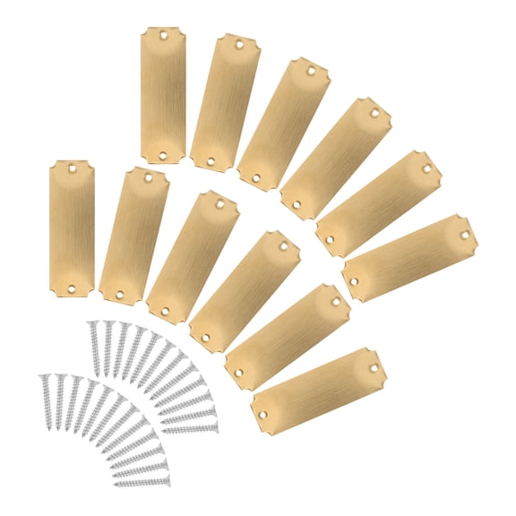 SHOWERORO 12Pcs Blank Engravable Metal Plates Plated Gold Stainless Steel with Screws for Metal Labeling and Crafts
