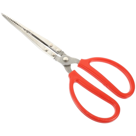 SHOWERORO Stainless Steel Seafood Scissors with Comfortable Grip for Crab, Lobster, Eel, and Shellfish Handling