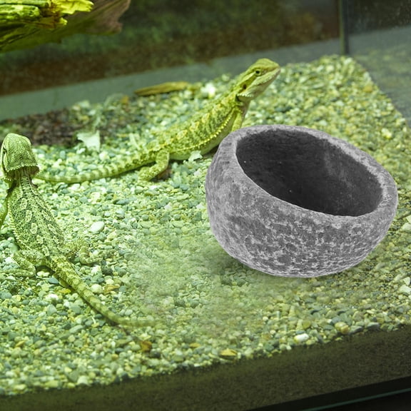 SHOWERORO Bearded Dragon Food Bowl Resin Feeder for Small Animals 1Set 9.4X7.6X5.6In