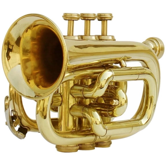 SHREYAS Trumpet Pocket Brass Material Built with High Sound Quality Free Hardcase & Mouthpiece