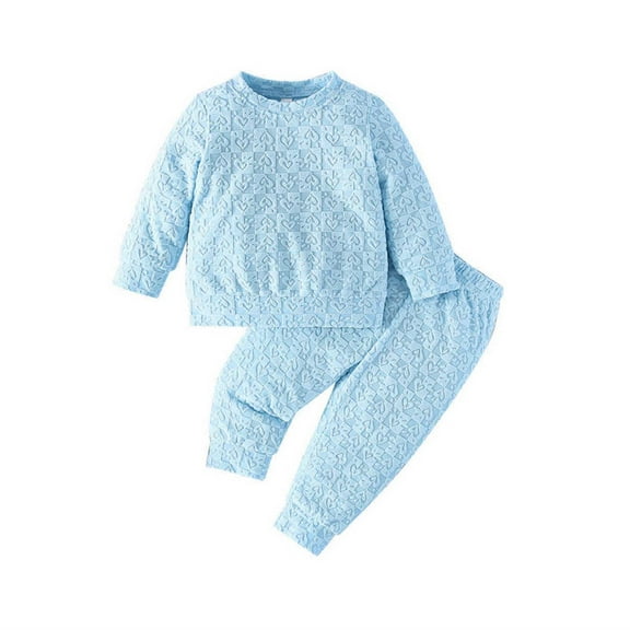 SHTXOZHI Toddler Girl Boy 2 Pcs Clothing Set Long Sleeve Sweatshirt Pants Newborn Infant Clothes