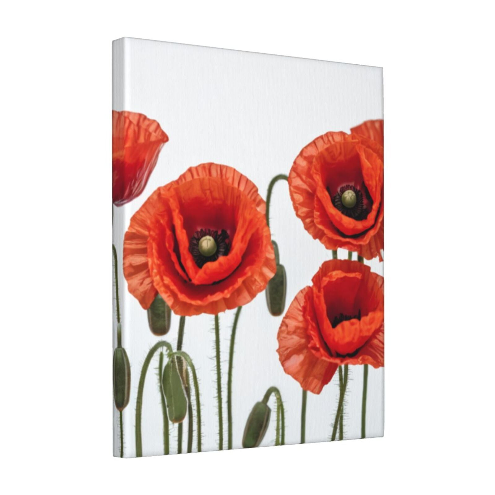 SHUISHANHUARed poppy anvas Printing Oil Painting Art Printed on Canvas