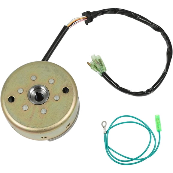SHZAITOR Flywheel and Stator Replacement for Yamaha YFS 200 Blaster 1988-2006