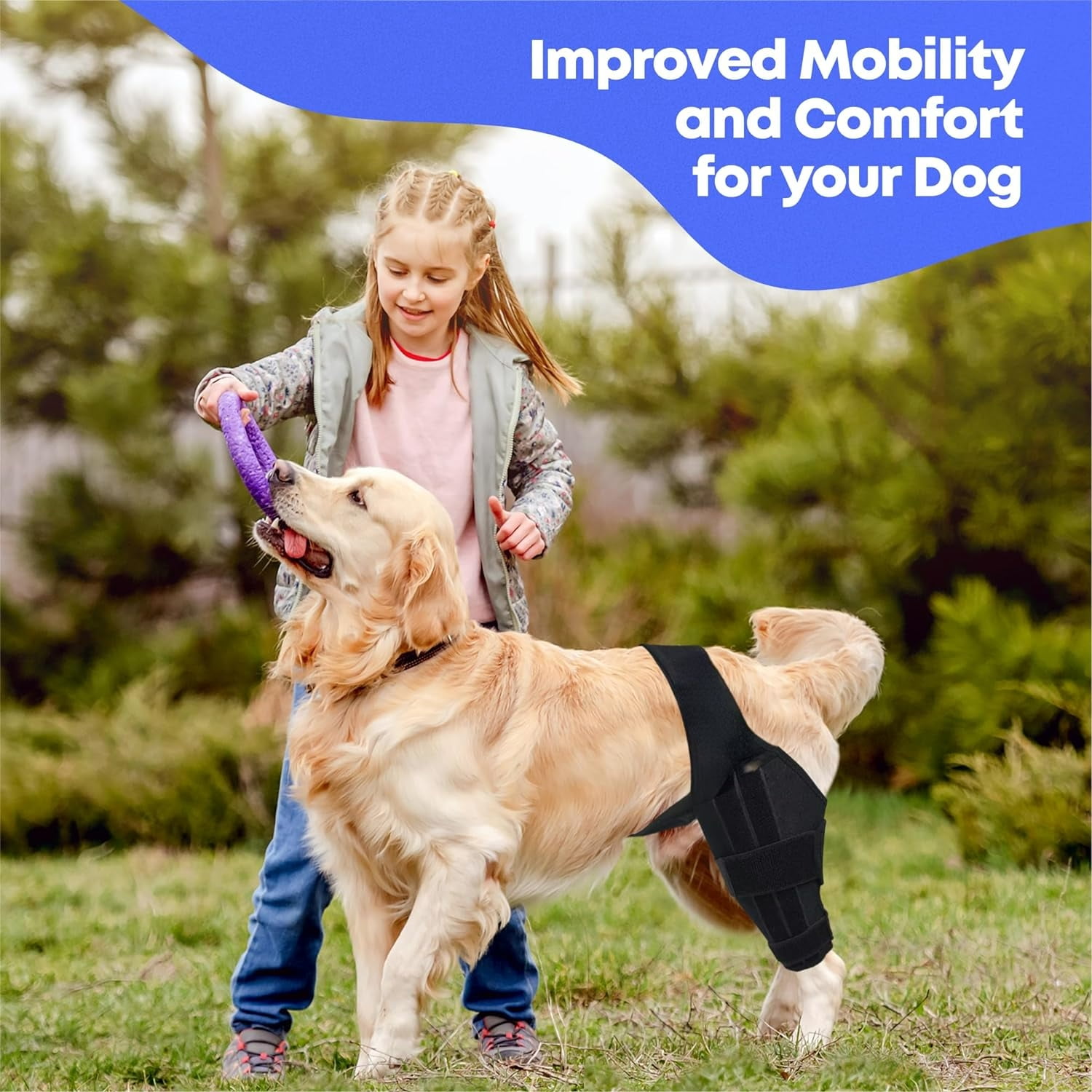 SHZHPQFJY Neoprene Adjustable Dog Knee Brace for Arthritis Torn ACL