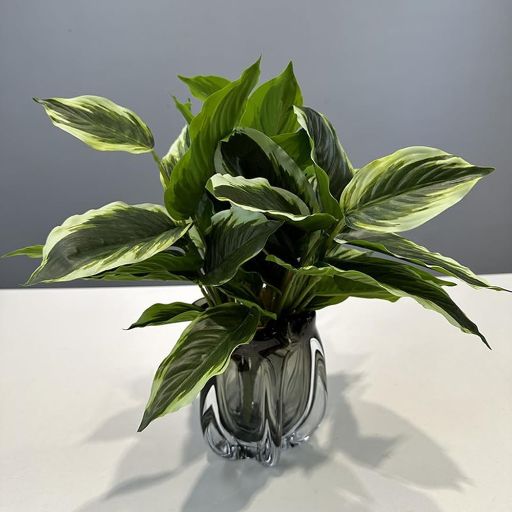 SHZHYUESONGKJ Aesthetic Greenery 2 Packs Variegated Hosta