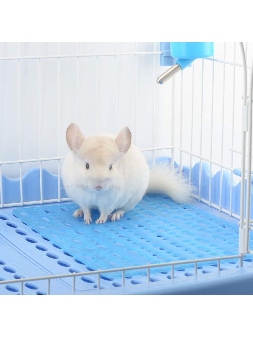 SHZHYUESONGKJ Safe & Smooth Chew-proof Anti-slip Plastic Grid Mat for ...