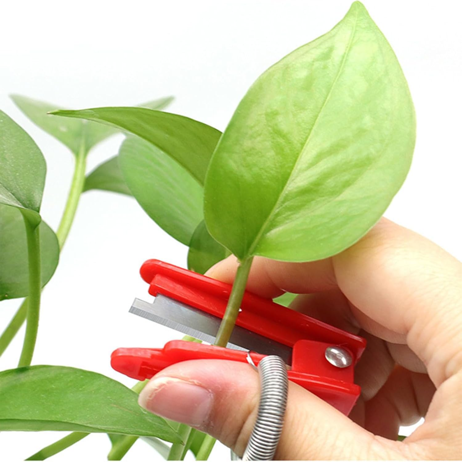 SHZHYUESONGKJ Thumb Garden Finger Multifunctional Gardening Tool for ...