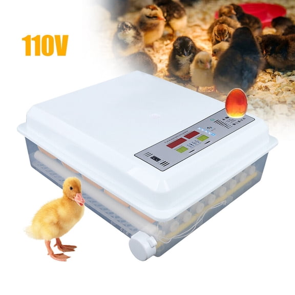 SHZICMY Egg Incubator 64 Eggs Fully Digital Automatic Hatcher Fit Hatching Chicken Farm