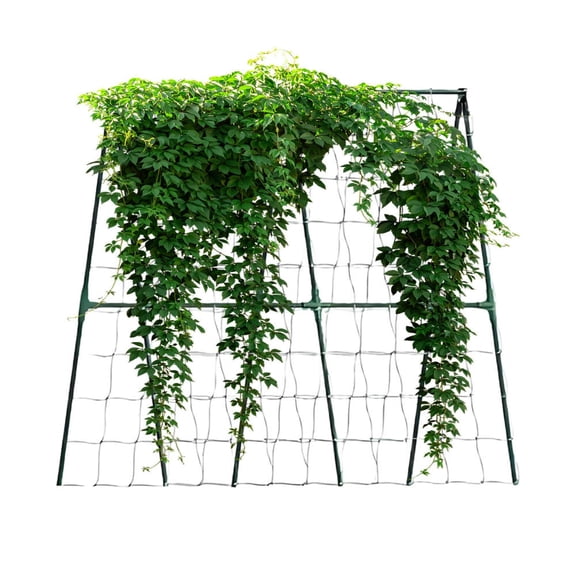 SHZONS Cucumber Trellis Pea Trellis Metal Expandable Gardening Growing Supplies Accessories Support for Grape Pea Bean Tomato Cucumber gorgeously