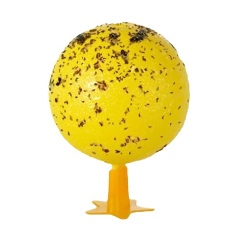 SHZONS Sticky Fly Traps Small Gnat Traps for Houses Gnat Zapper Indoor Wasp Catcher Fruit Flying Control Device for Home Dormitory Kitchen Living Room pretty well