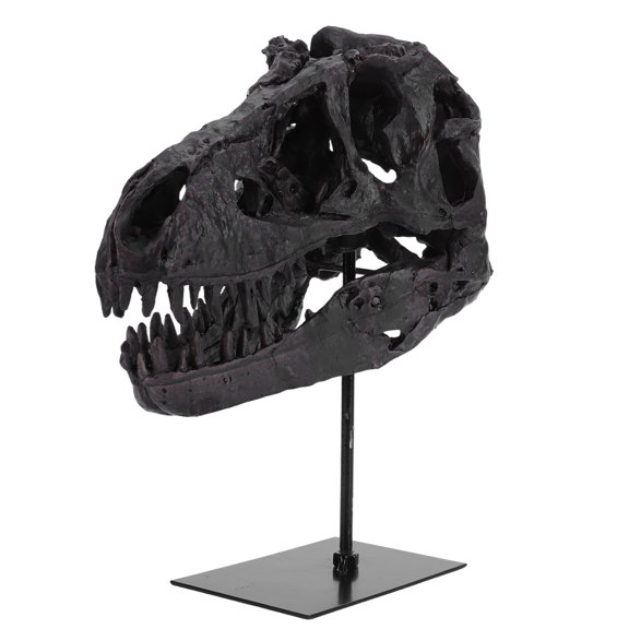 SHegdu Tyrannosaurus Rex Fossil Figurine Resin Replica Head Sculptures with Bracket Skull Sculptures Gift for Kids And Adults